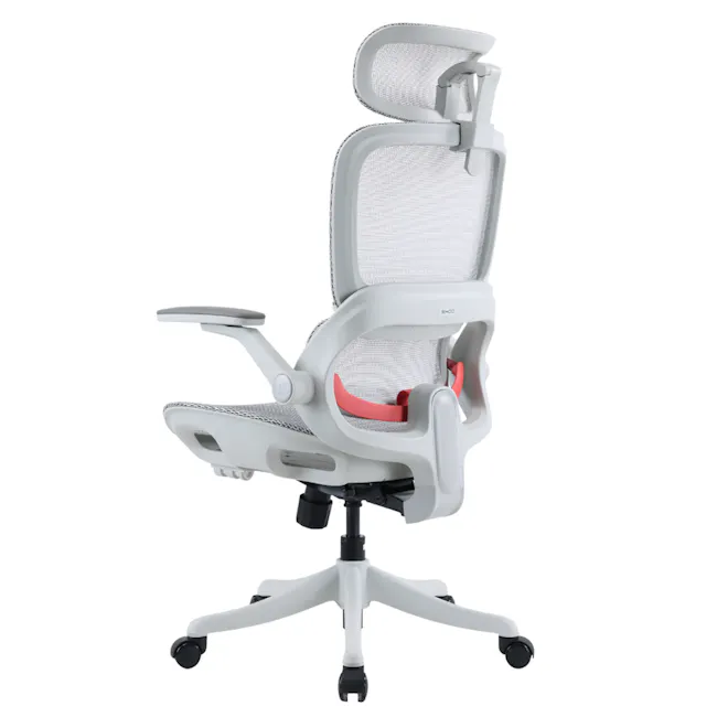 Sihoo B100 Pro Ergonomic Chair - White/Grey - 7