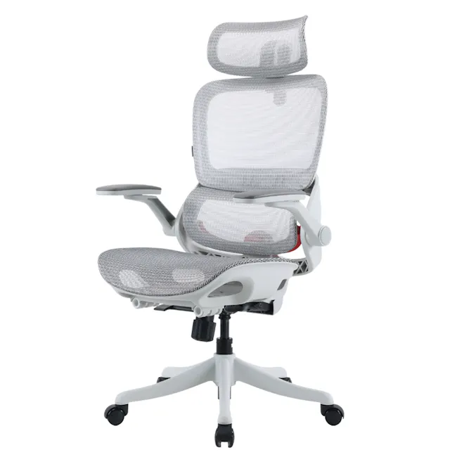Sihoo B100 Pro Ergonomic Chair - White/Grey - 3