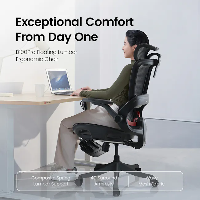Sihoo B100 Pro Ergonomic Chair - White/Grey - 10