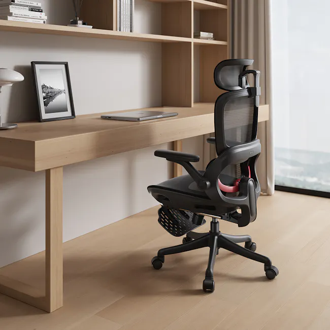 Sihoo B100 Pro Ergonomic Chair - White/Grey - 20