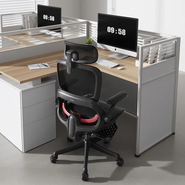 Sihoo B100 Pro Ergonomic Chair - White/Grey - 18