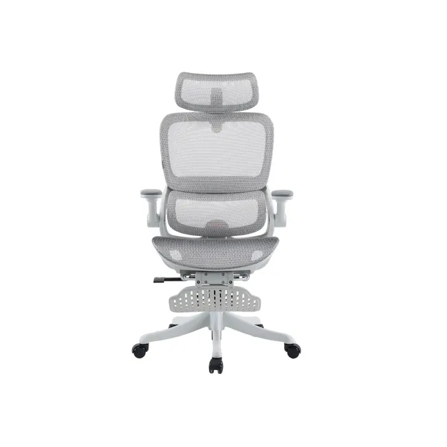 Sihoo B100 Pro Ergonomic Chair With Leg Rest - White/Grey - 1