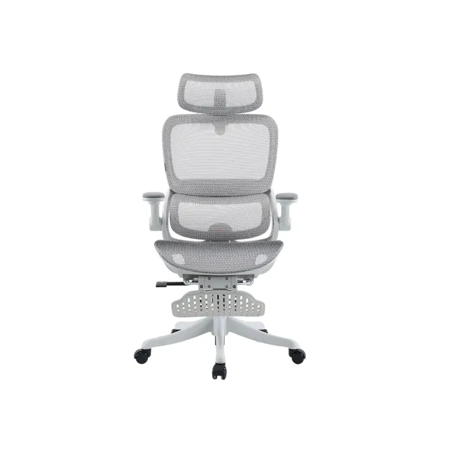 Sihoo B100 Pro Ergonomic Chair With Leg Rest - White/Grey - 1