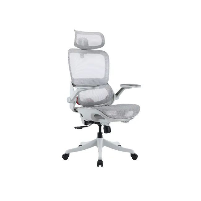 Sihoo B100 Pro Ergonomic Chair With Leg Rest - White/Grey - 2