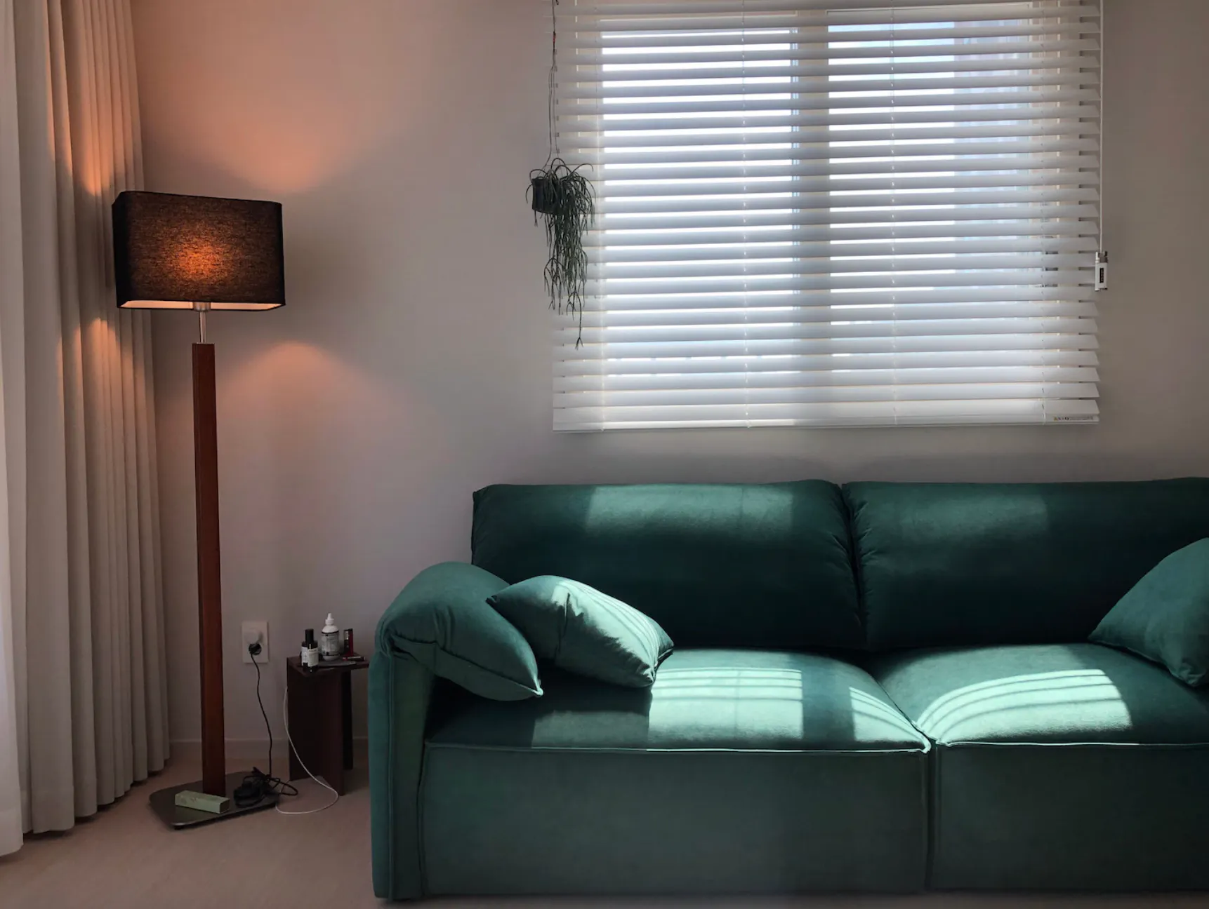 Customer home photo 1