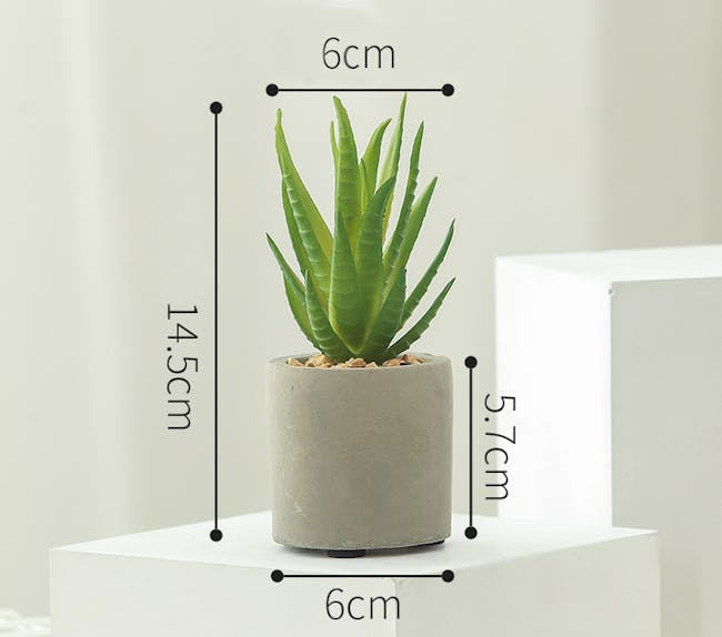 Faux Aloe Vera in Concrete Planter - 4
