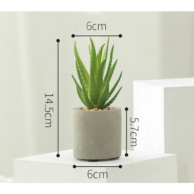 Faux Aloe Vera in Concrete Planter - 4
