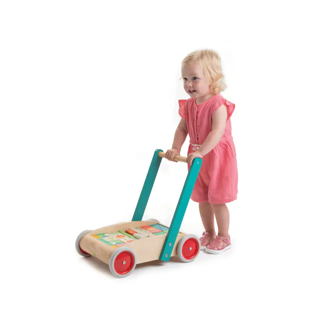 Tender Leaf Baby Walker Wagon with Blocks - 2