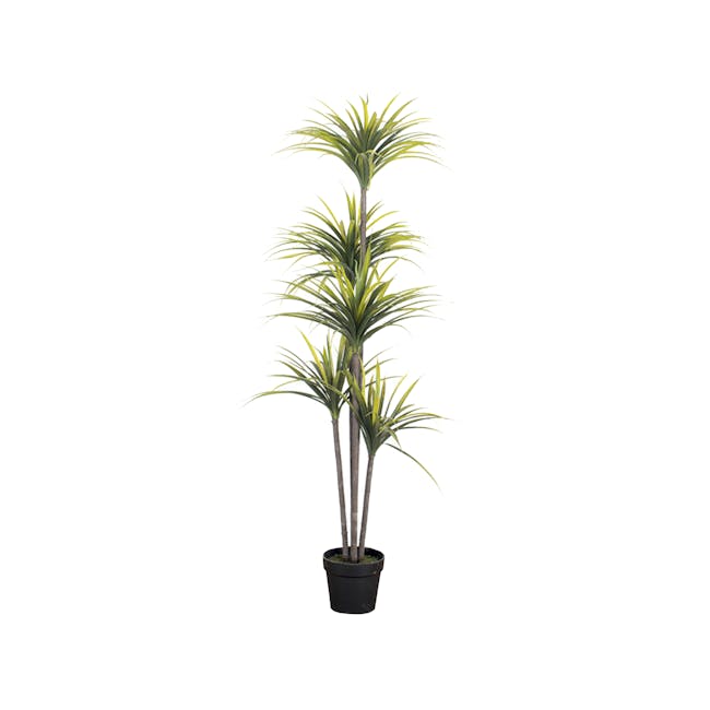 Potted Faux Yucca Tree 160 cm - 0