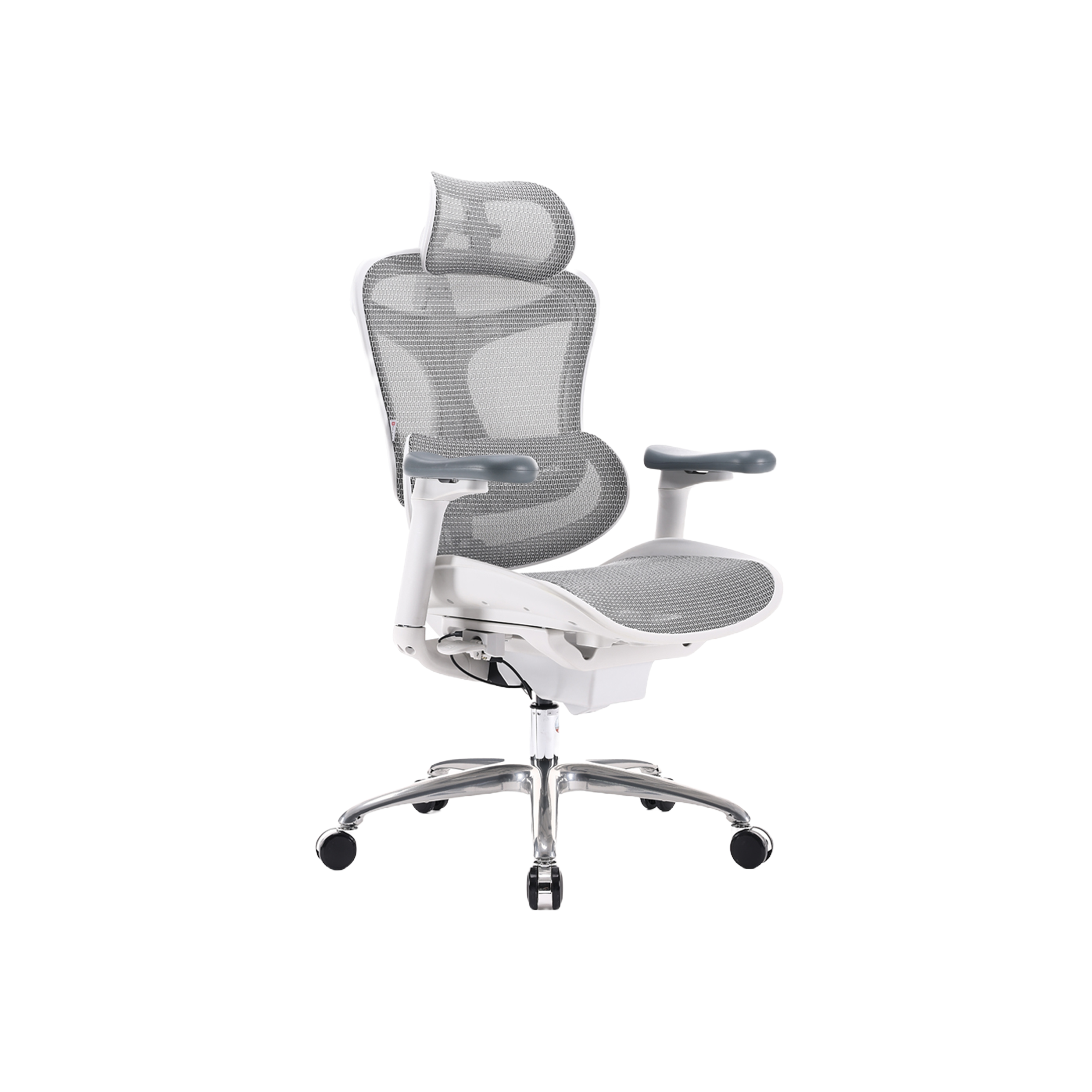 Sihoo C100 Ergonomic Chair - White/Grey