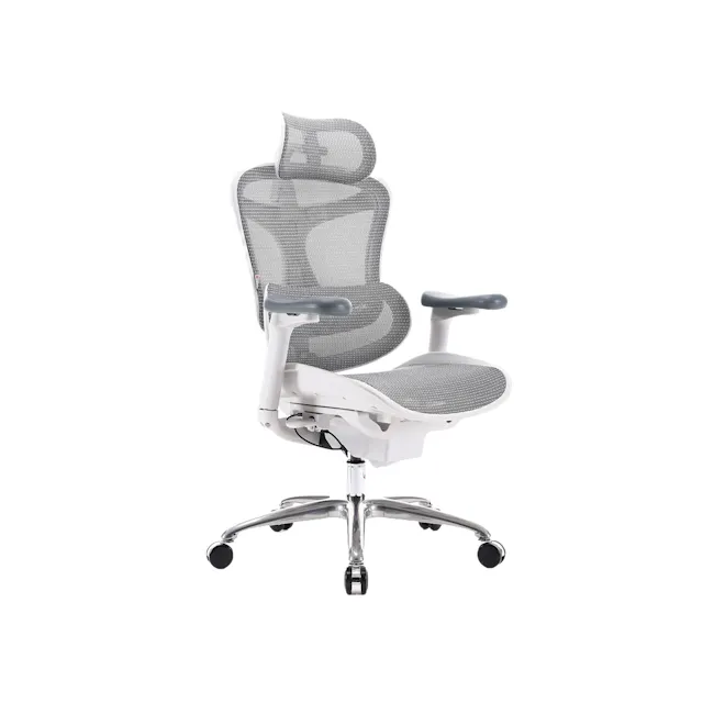 Sihoo C100 Ergonomic Chair - White/Grey - 1