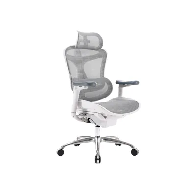 Sihoo C100 Ergonomic Chair - White/Grey