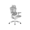 Sihoo C100 Ergonomic Chair - White/Grey