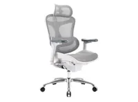 Sihoo C100 Ergonomic Chair - White/Grey