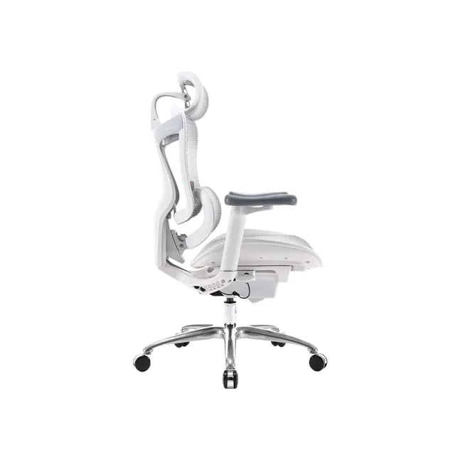 Sihoo C100 Ergonomic Chair - White/Grey - 2