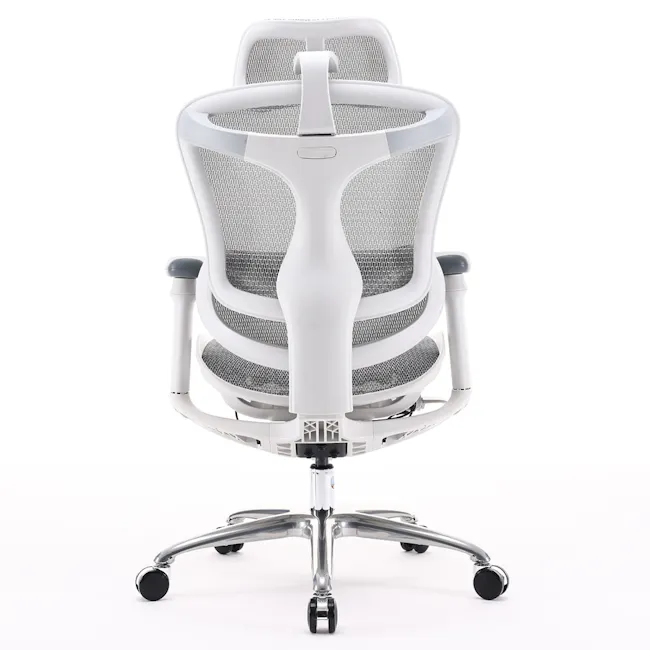 Sihoo C100 Ergonomic Chair - White/Grey - 3