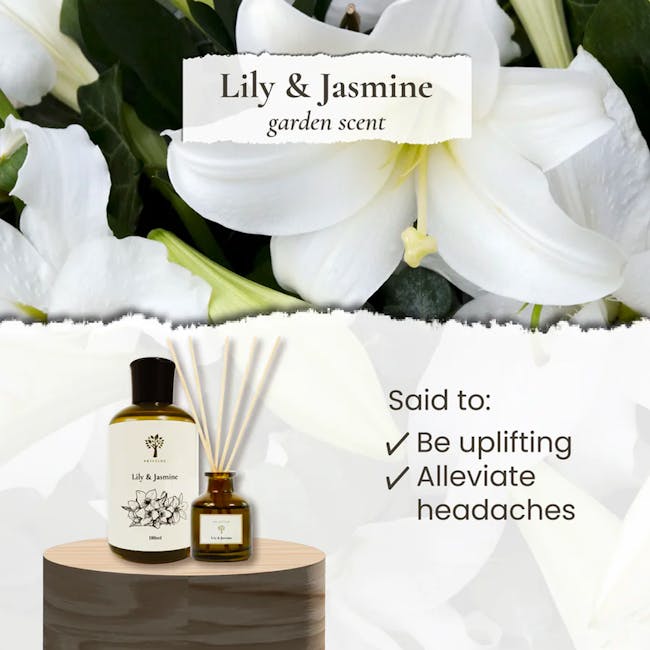 Pristine Arome Home Scent Refill 180ml - Lily & Jasmine (Refill + Reed Stick Set) - 2 - White lily and jasmine flowers