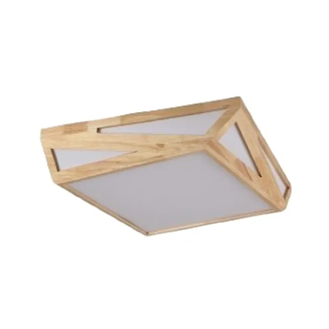Ezven Ceiling Mount Light - 30W - 1