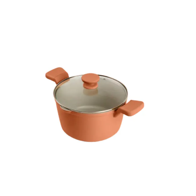 Galaxy Casserole 24 CM - Terracotta - 1