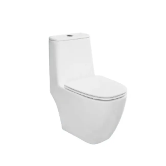 Impression Zerorim One-piece Toilet Bowl - 1