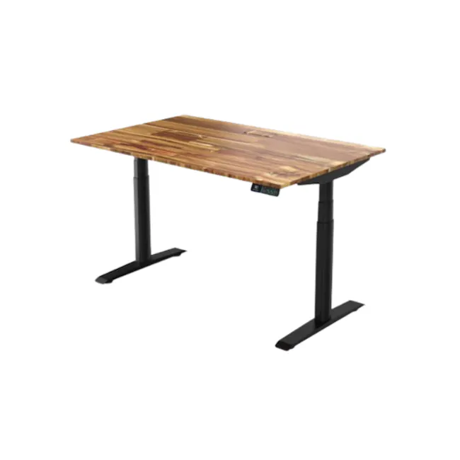 Omnidesk Ascent Basic Standing Desk - 1