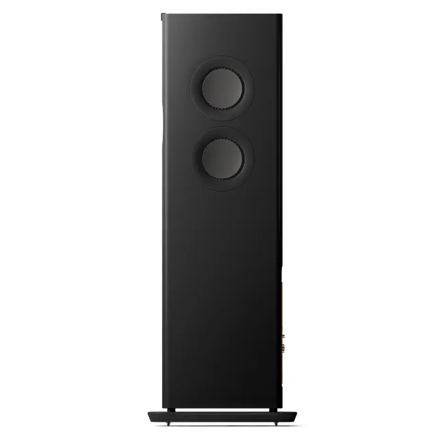 LS60 wireless HiFi speaker - 1