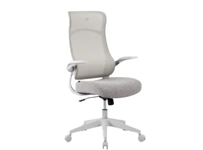 Airflex Ergochair Home Office Mesh Chair Executive Ergonomics Chair