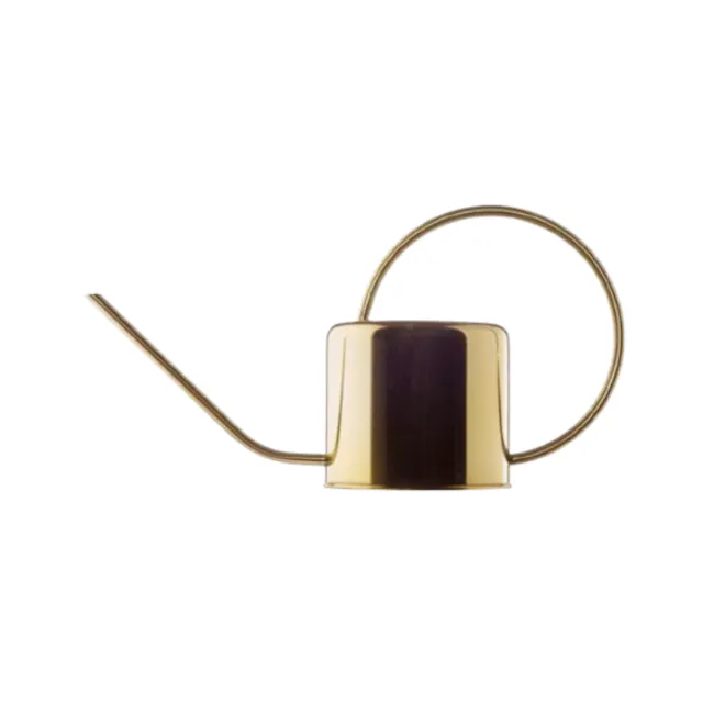Nordic Golden Watering Can - 1