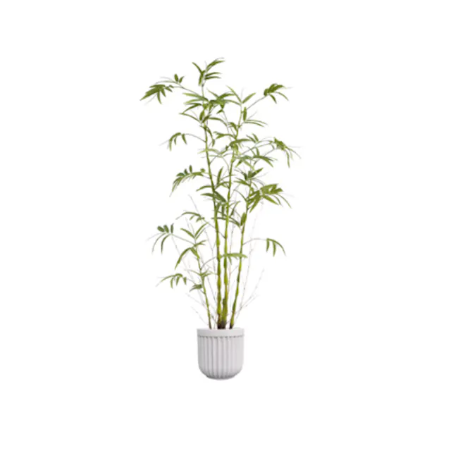 Faux Bamboo Plant, 150cm - 1