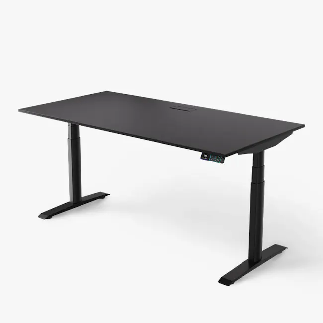 Omnidesk Ascent Basic Standing Desk - 2