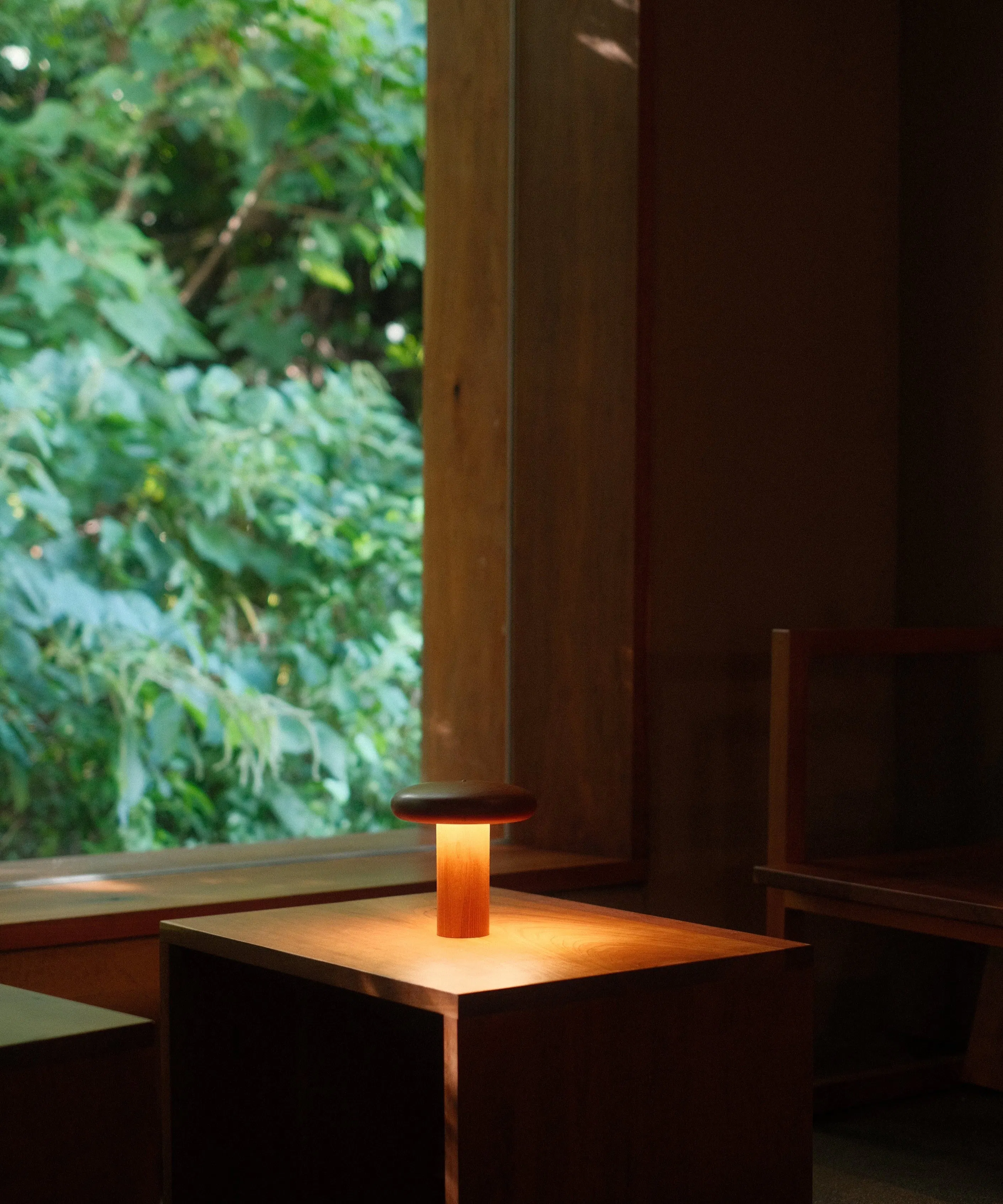Baobab Lamp (Standard) - 7