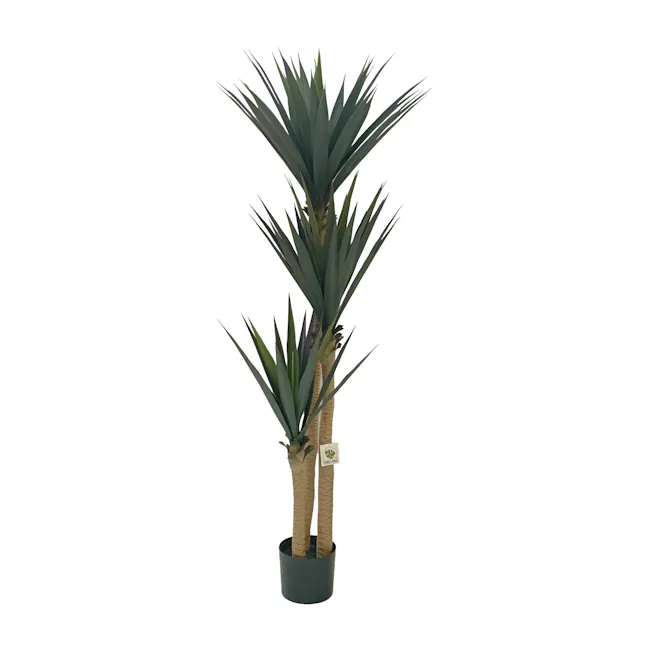 Yucca Tree 1.7m (Thick Leaves) - Faux - 2