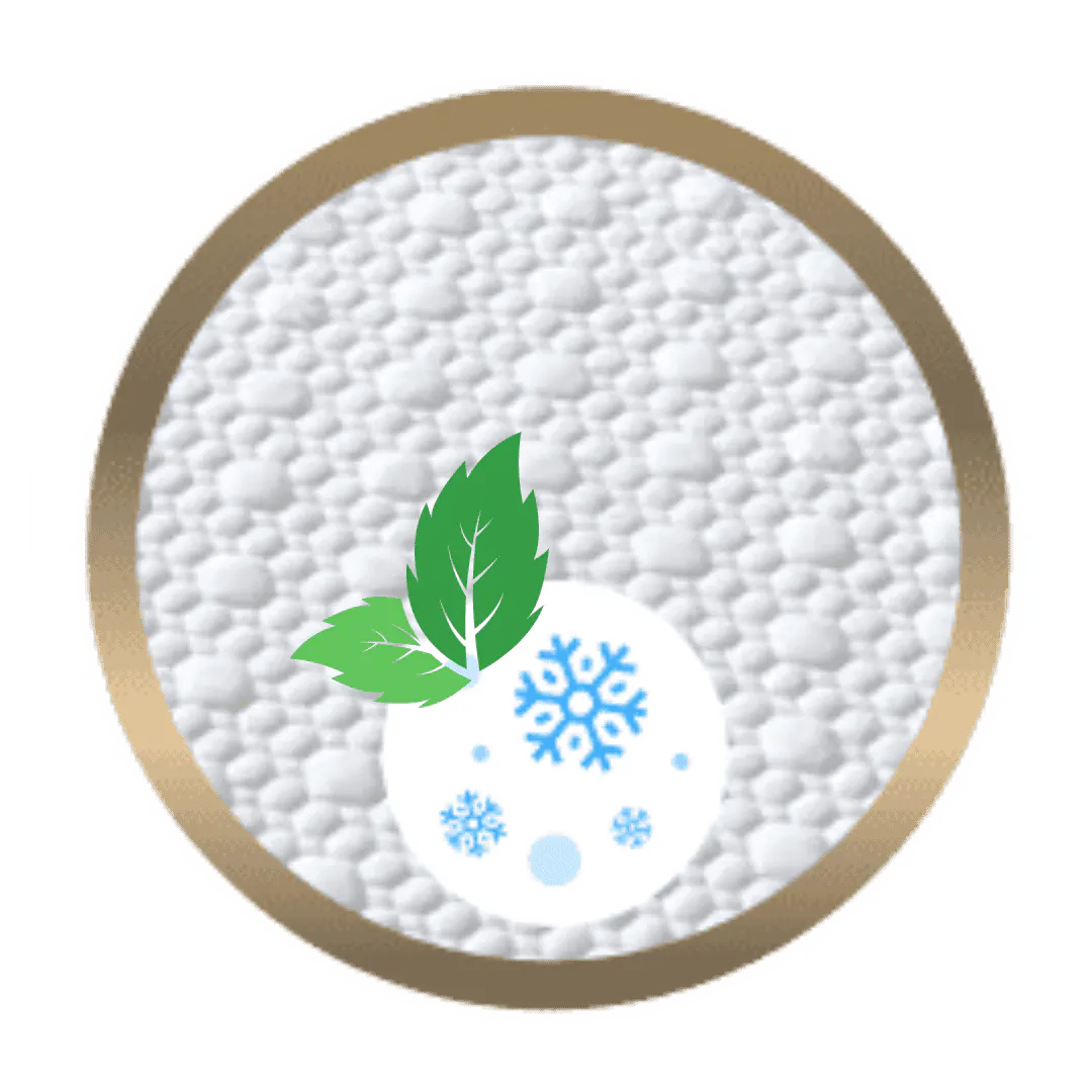 Dr. Maxis Royale Glacier Mattress - Single - 9