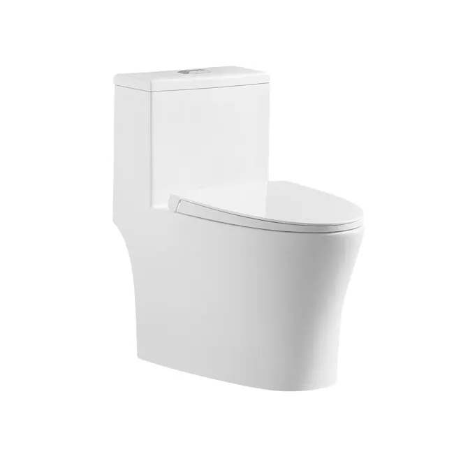 Rubine PN-105S06 One-Piece Toilet (Punta Nera Collection) - White - 10