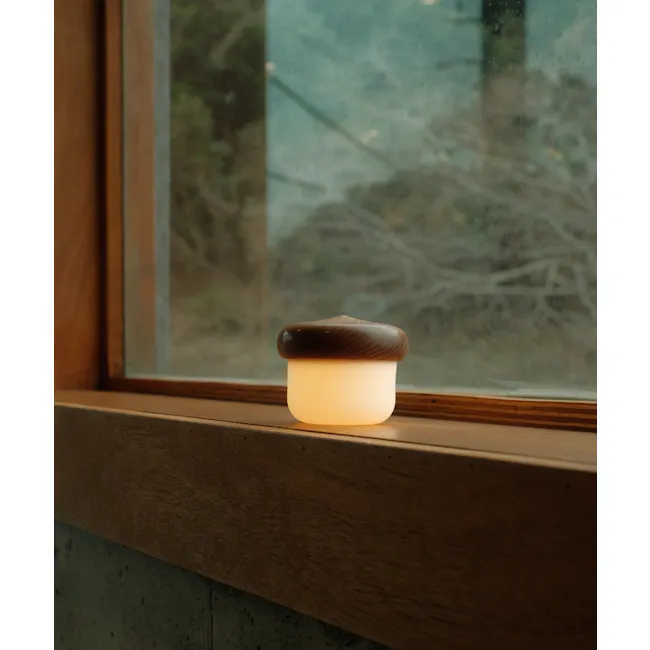 Dotori Acorn Mood Light – Eden Living (Oak / Classic) - 4