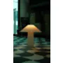 Luna D Tall - 7