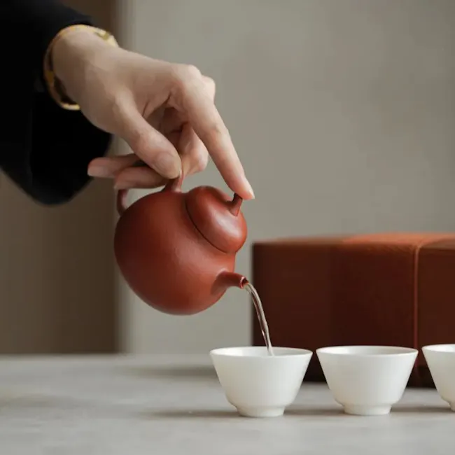 Fa Grass Wood Glaze Porcelain Portable Tea Set with Protective Case - 7