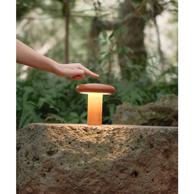 Baobab Lamp - Rainbow Version (dRising x Eden) - 1