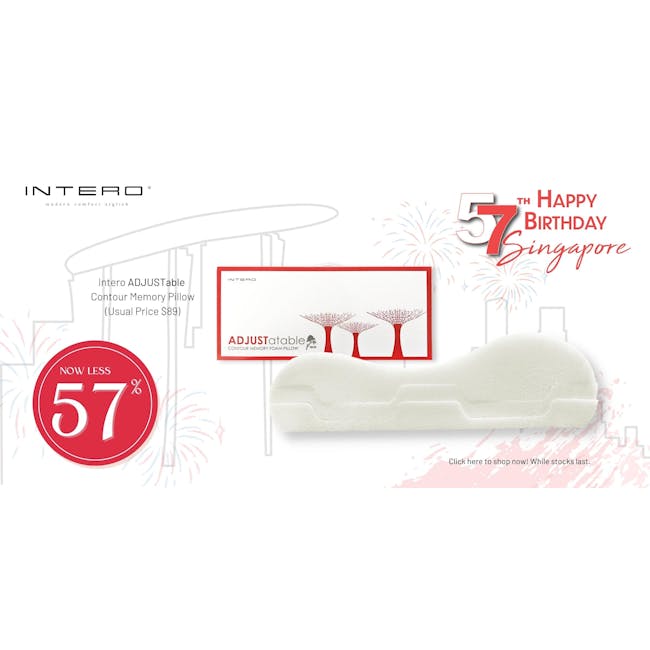 Intero ADJUSTable Contour Memory Foam Pillow - 1
