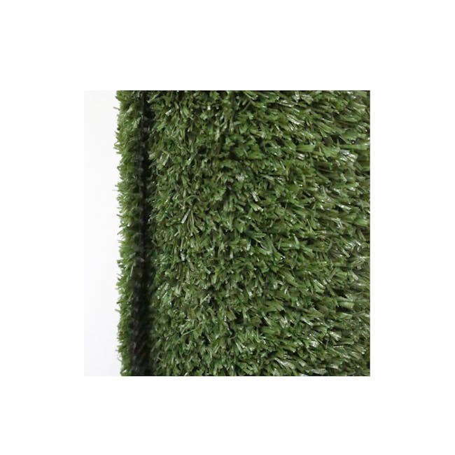 Steve & Leif Artificial Carpet Grass 1m x 1m (2 Sizes) - 5