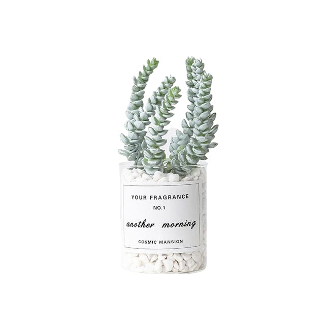 Faux Jelly Bean Succulents with White Pebbles - 0