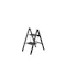 Hasegawa Lucano Slim Aluminium 2 Step Stool - Black