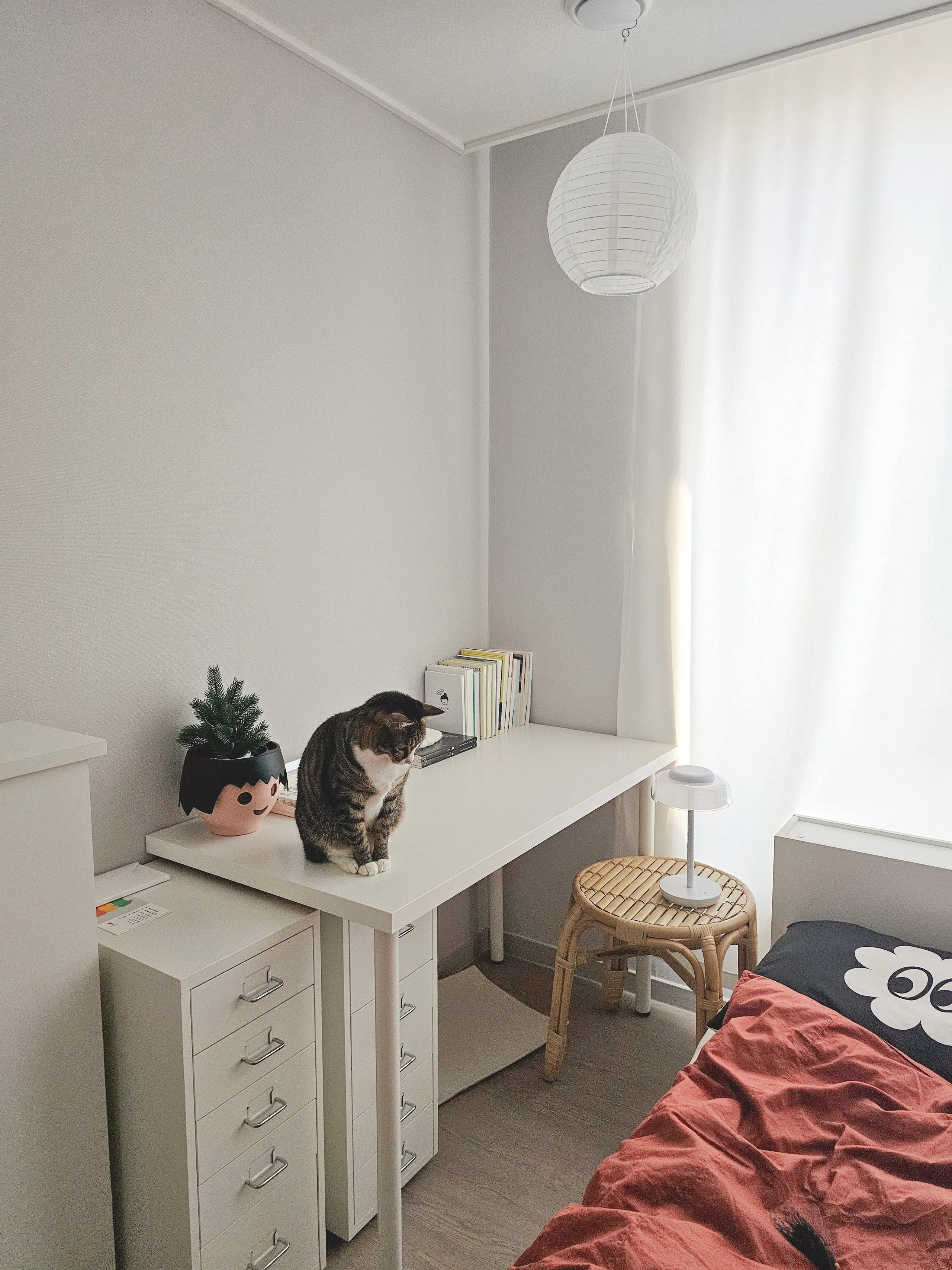 Customer home photo 8