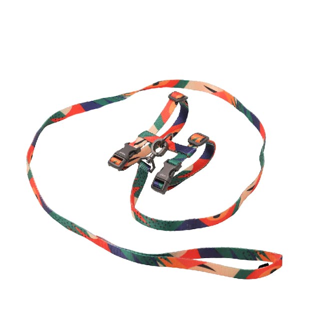 Pidan Cat Harness with Matching Leash - Abstract - 5