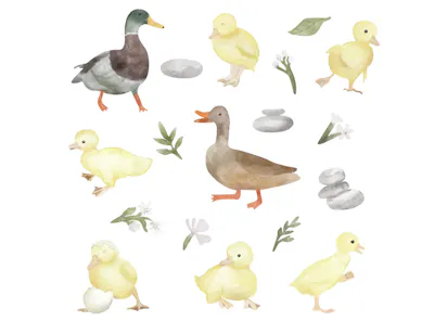 Urban Li'l Waddle Waddle Fabric Decal