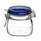 Fido Jar Herm 500 - Blue Top - 1