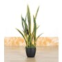 Potted Faux Snake Plant 70 cm - 3
