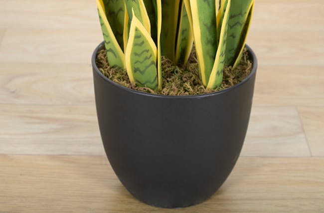 Potted Faux Snake Plant 70 cm - 1