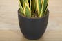 Potted Faux Snake Plant 70 cm - 1