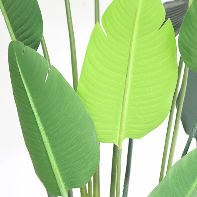 Potted Faux Traveller's Palm Tree 150 cm - 6 - Green, broad, glossy, elongated, heart-shaped, veined, vibrant, fresh, lush